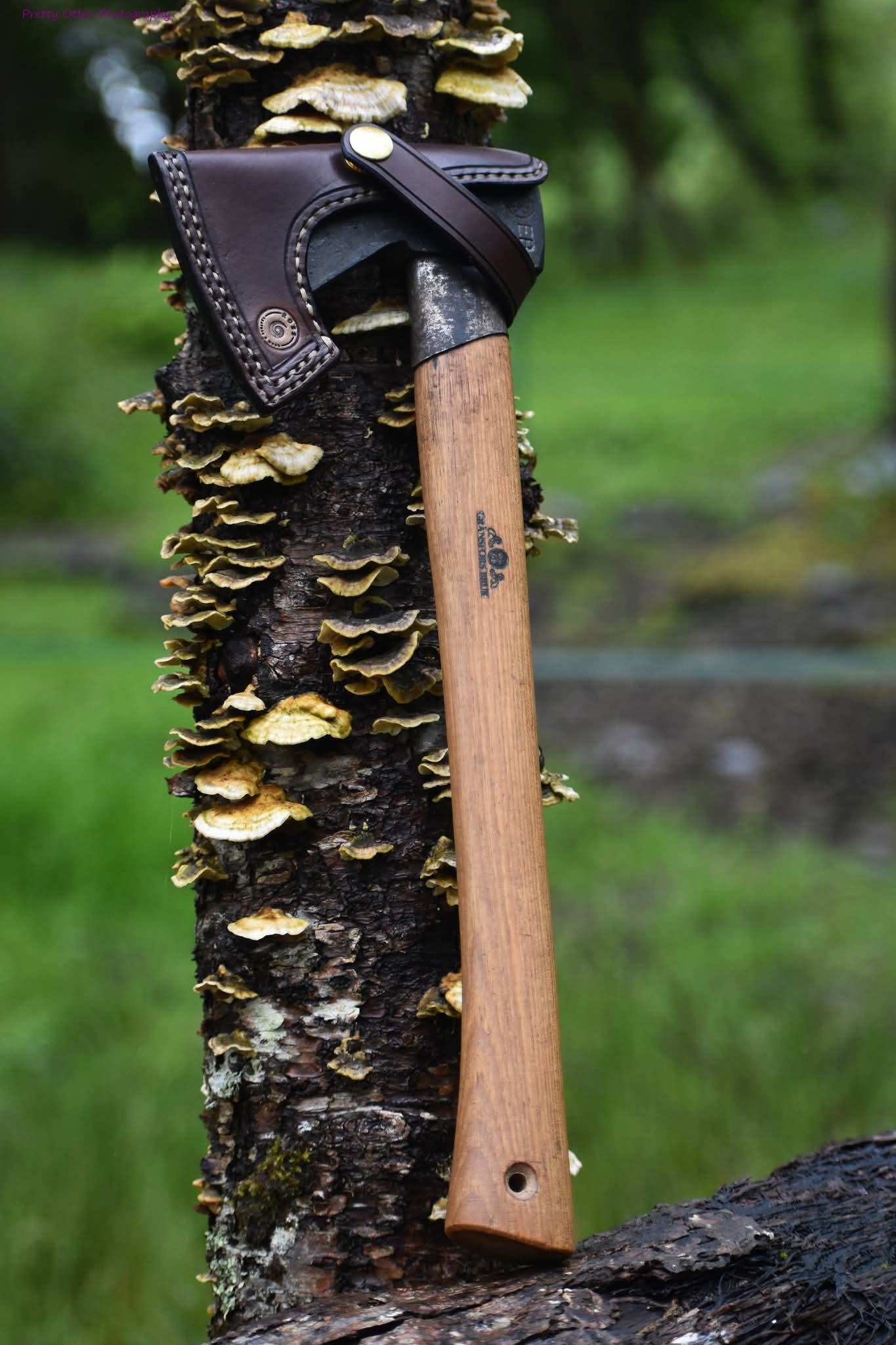 Leather axe cover on bracket fungus tree